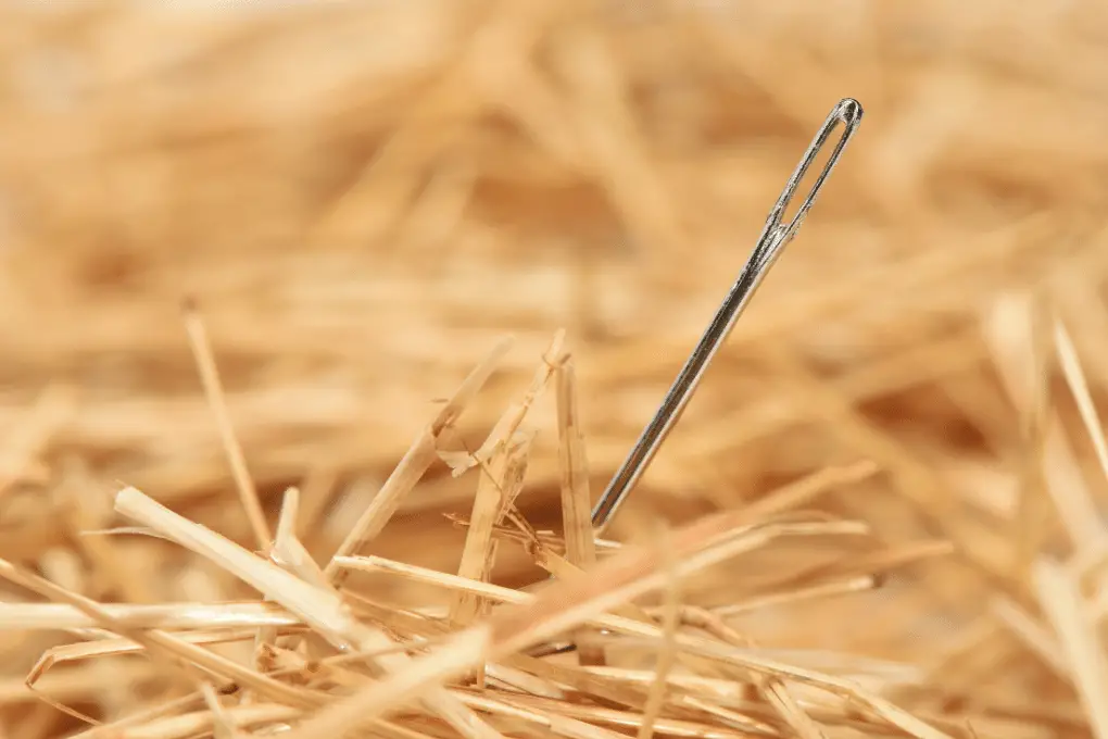 needle in a haystack idiom