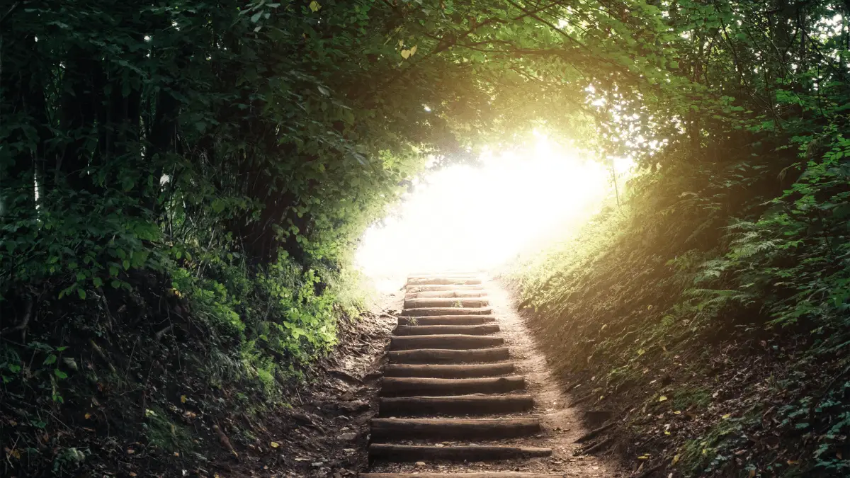 how to carve your own path in life